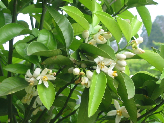 f0201562_21112057.jpg