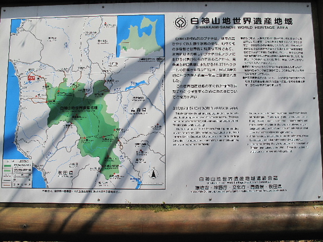b0184468_1245375.jpg
