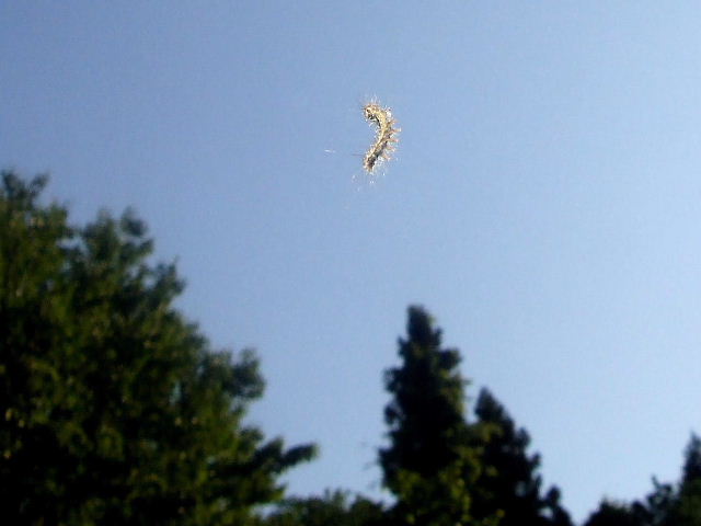 b0067569_221628.jpg