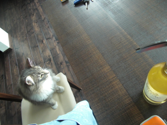 f0200773_18563732.jpg