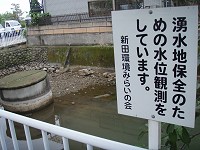 b0004675_237793.jpg