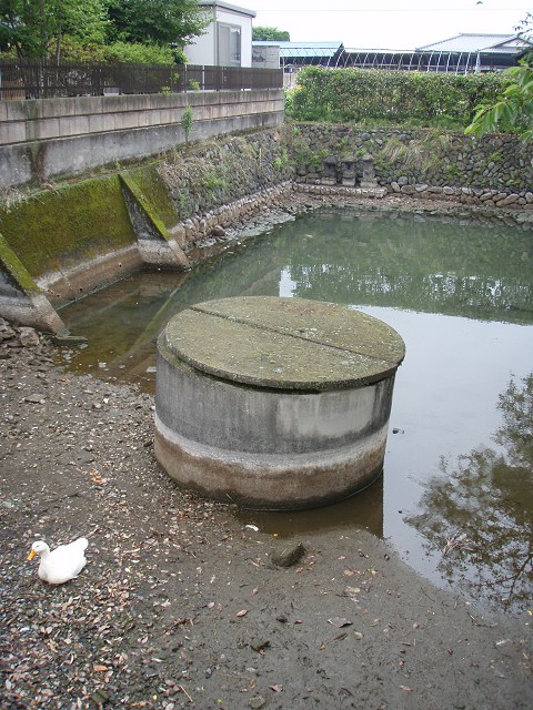 b0004675_2381737.jpg