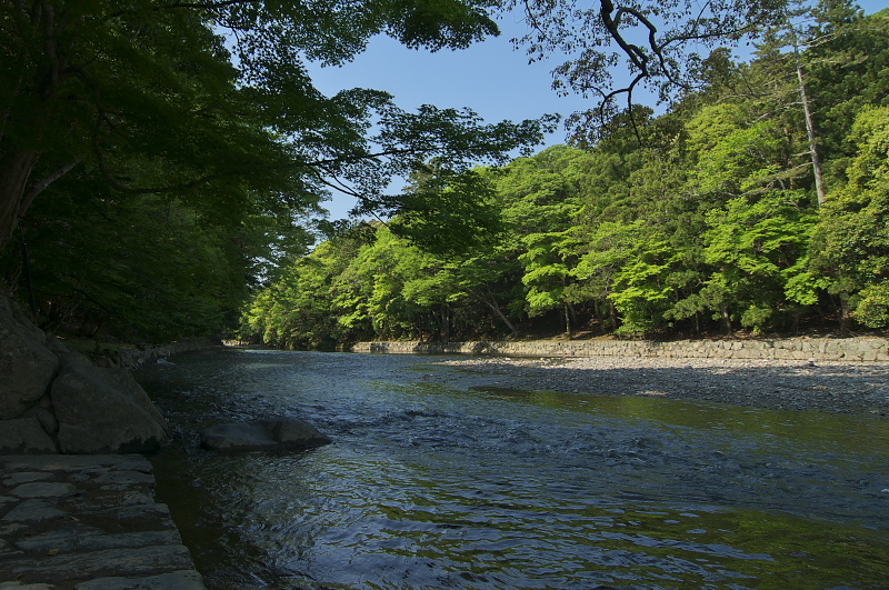 b0178292_19465394.jpg