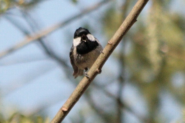 d0133693_201449.jpg