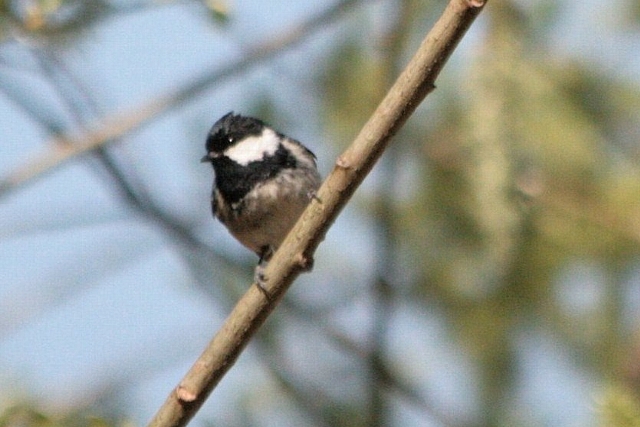 d0133693_2083537.jpg