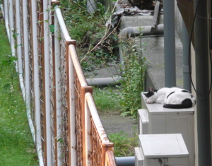 f0146198_2317264.jpg
