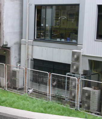 f0146198_23253132.jpg