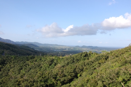 d0090300_23361655.jpg