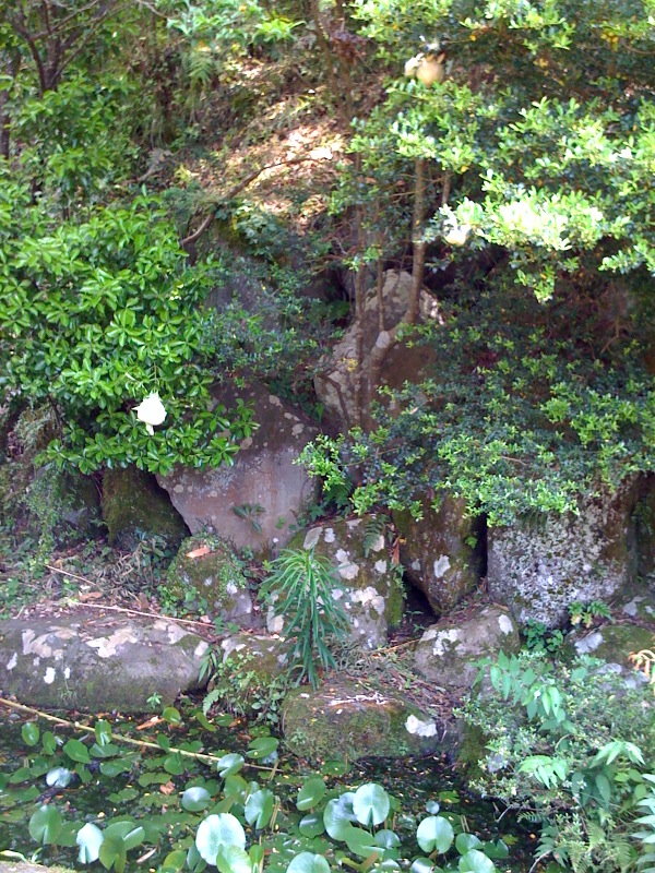 b0188106_12352873.jpg