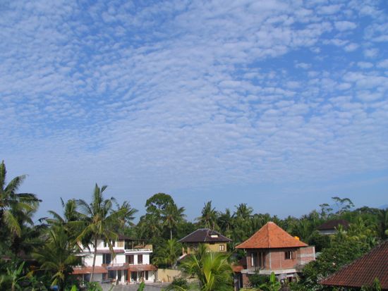 b0051109_10485980.jpg
