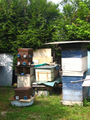 d0105310_19545063.jpg
