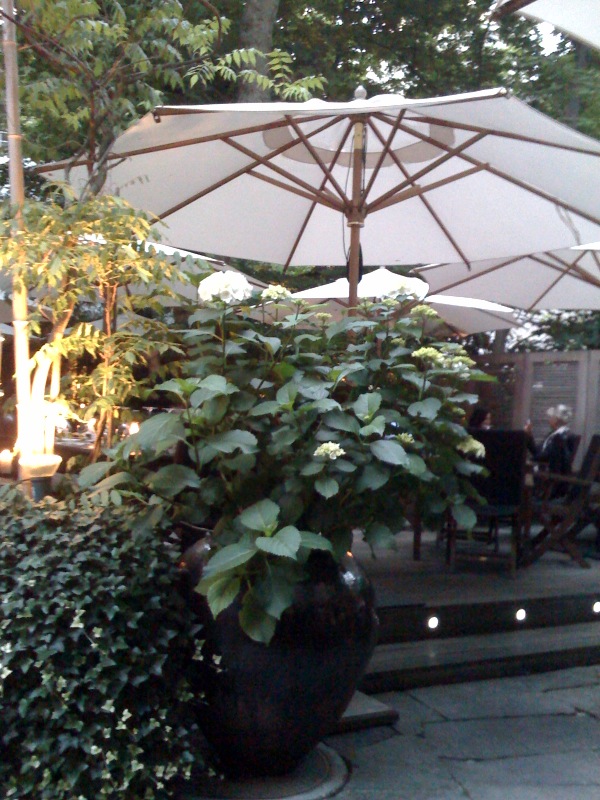 e0089710_23323028.jpg