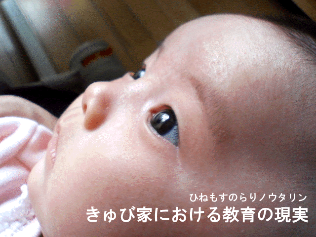 b0182613_20513231.gif