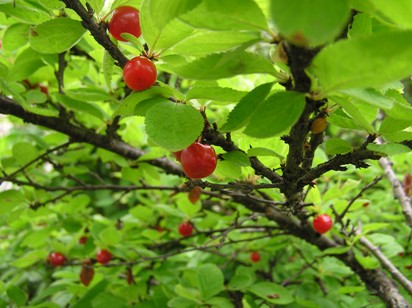 b0167815_20305836.jpg