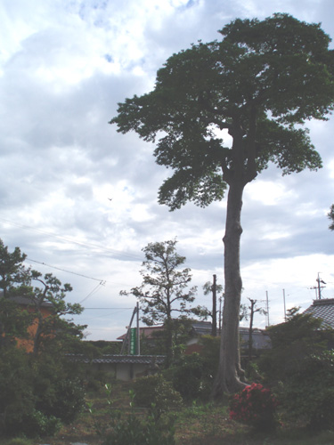 a0088920_15125961.jpg