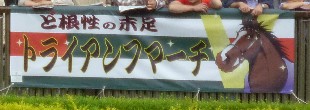 夢のダービー出走！ トライアンフマーチ視点での日本ダービー回顧（１週遅れ）_b0019221_2334576.jpg