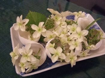 c0136324_2244891.jpg