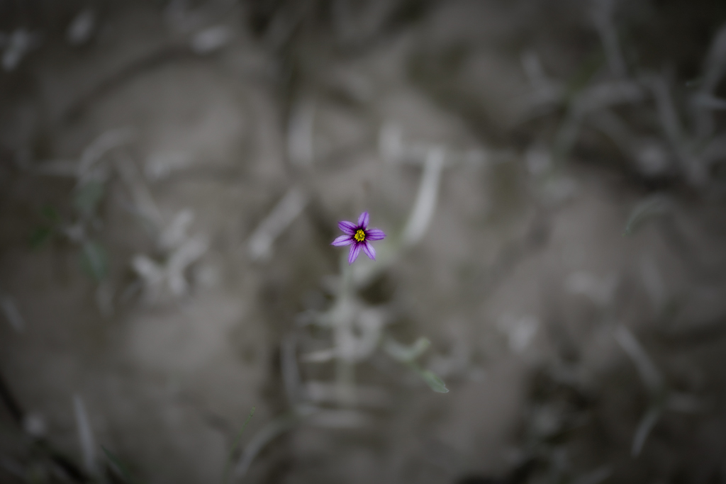 d0004832_19303669.jpg
