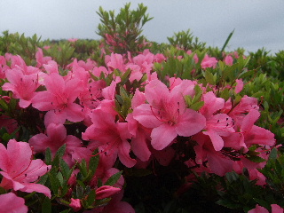 b0165236_10361148.jpg