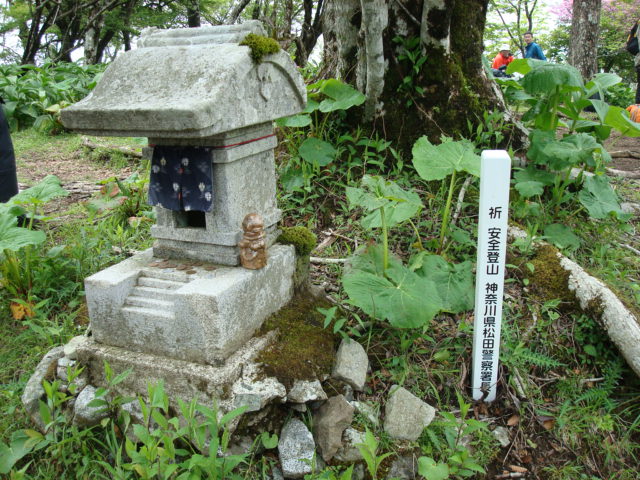 a0048040_17104250.jpg