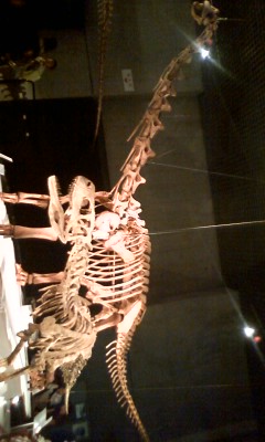 f0099140_95484.jpg