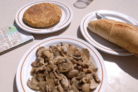 e0034141_16572815.gif