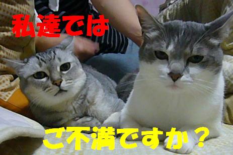 また行きたい 白浜~_f0002743_14111129.jpg