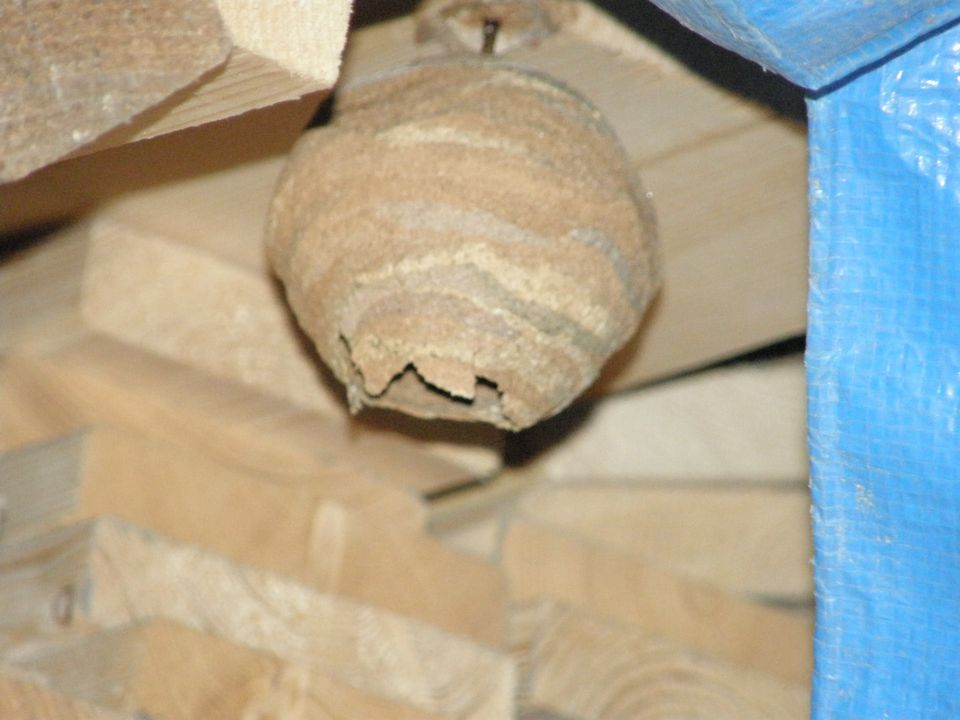 f0090444_21544984.jpg