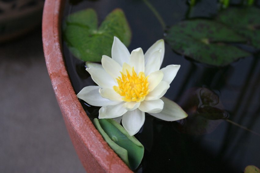d0042049_2252038.jpg