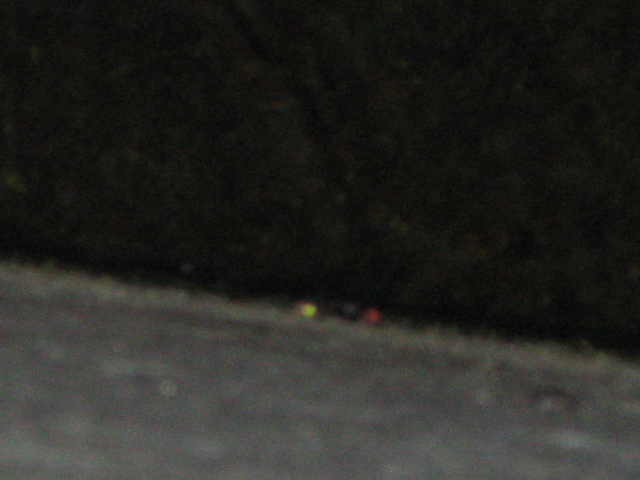 f0198950_21483192.jpg