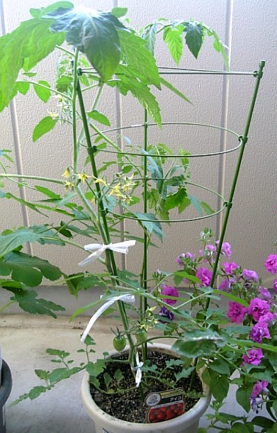 c0115560_21103655.jpg