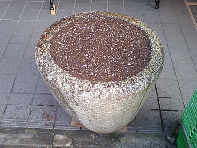 d0150060_17382911.jpg