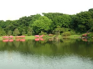 f0139963_6544651.jpg
