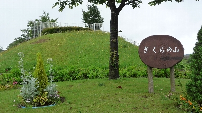 成田　さくらの山公園_d0044965_1950384.jpg