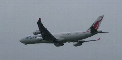 d0044965_2025758.jpg