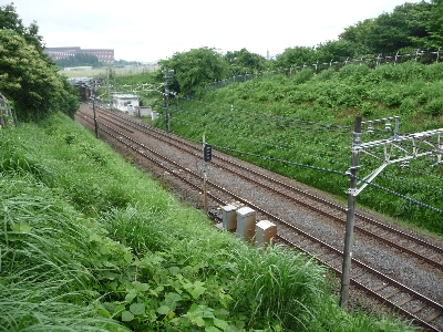 成田　さくらの山公園_d0044965_2044258.jpg