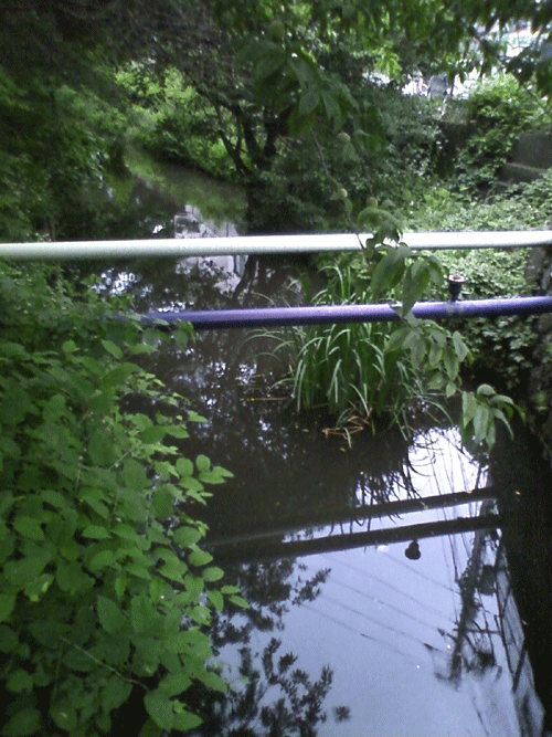 c0137869_2232554.gif