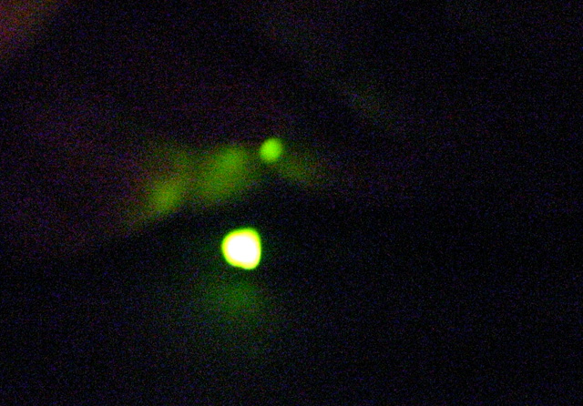 d0141173_22215554.jpg