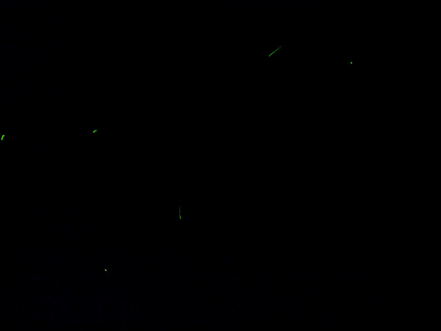 d0141173_22225297.jpg