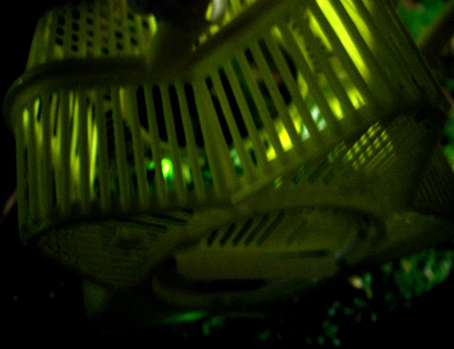 d0141173_22233022.jpg