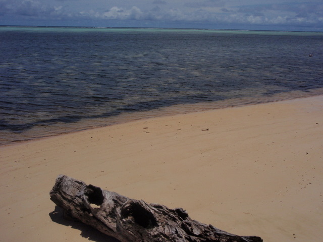 f0008679_2248324.jpg