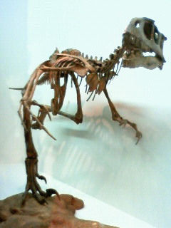 b0018784_21573513.jpg