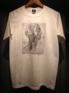 Django Atour 入荷(プリントT)!_f0202785_21245381.jpg