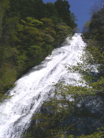 c0158387_21023.jpg