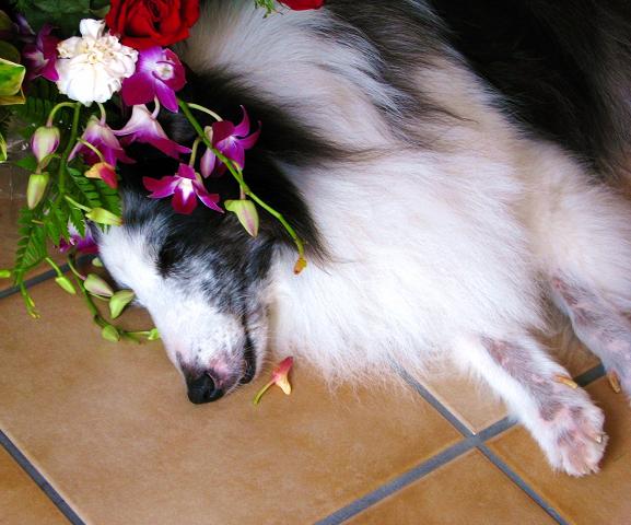 c0199096_203845.jpg