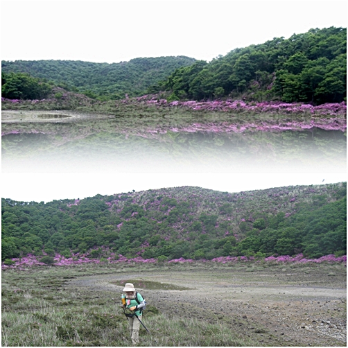 大幡山　２００９年６月２日火曜日_e0095197_12121739.jpg