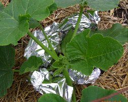 c0151898_20552399.jpg