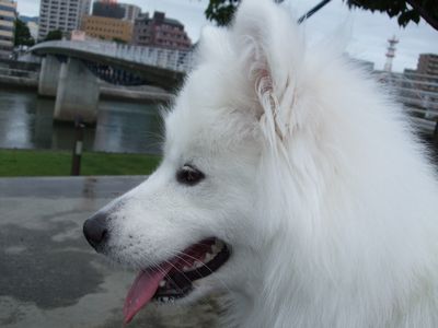 d0149103_1681539.jpg