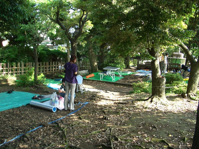 英語のラジオ体操で始まった運動会_f0141310_2385830.jpg