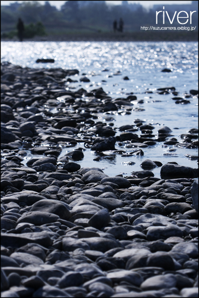 RIVER_f0100215_0192462.jpg